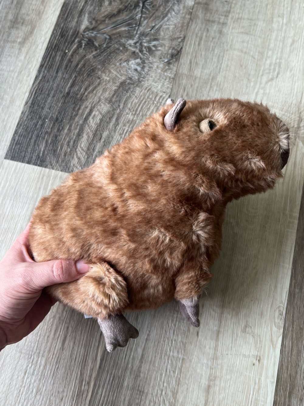 Jellycat Clyde Capybara - Picture 10 of 11